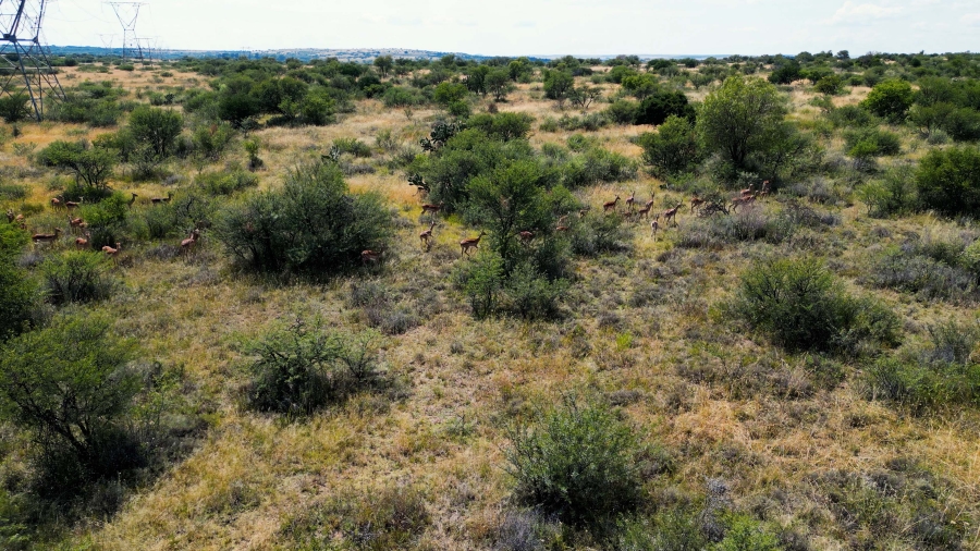 0 Bedroom Property for Sale in Virginia Free State